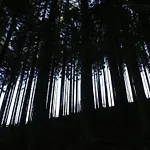 Jacuzzi Retreat, Ardennes Filly