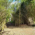 Jacuzzi Retreat, Ardennes * Filly