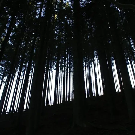 Jacuzzi Retreat, Ardennes Filly