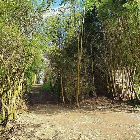 Jacuzzi Retreat, Ardennes * Filly